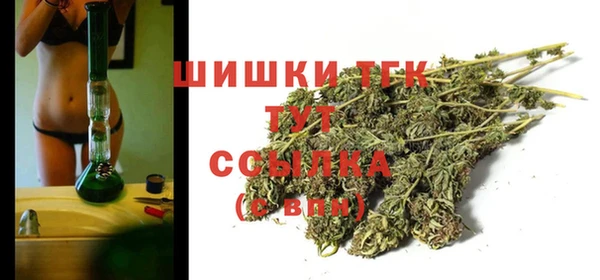 стафф Арсеньев