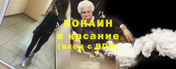 стафф Арсеньев