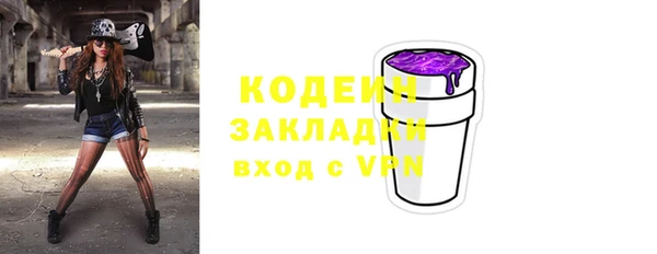 стафф Арсеньев