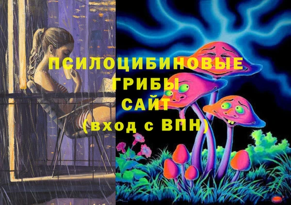 стафф Арсеньев