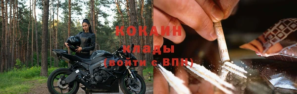 стафф Арсеньев