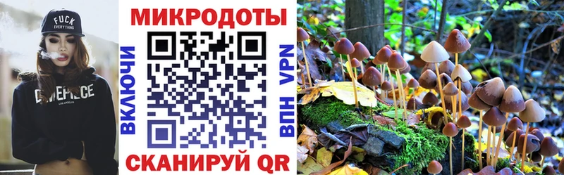 как найти закладки  Строитель  Галлюциногенные грибы мухоморы 
